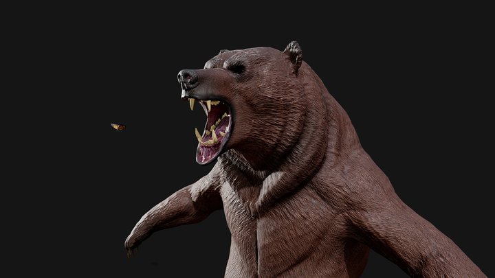 Strong Bear 3D Model