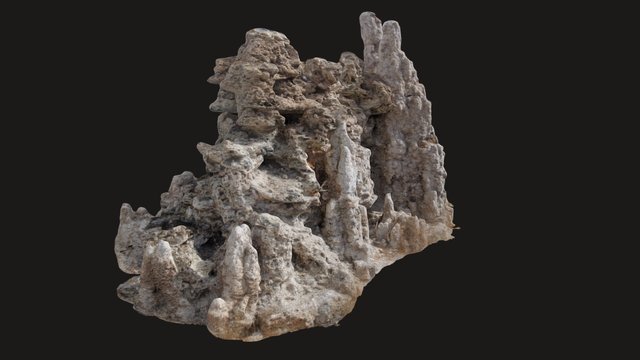 Tufa Spire at Mono Lake, CA 3D Model