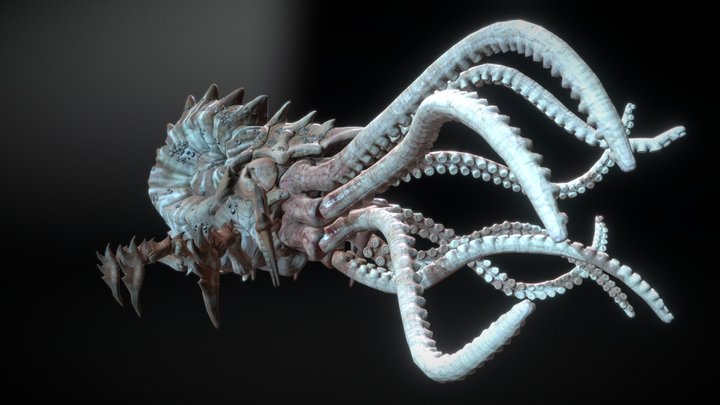 KRAKEN ANIMATIONS 3D Model